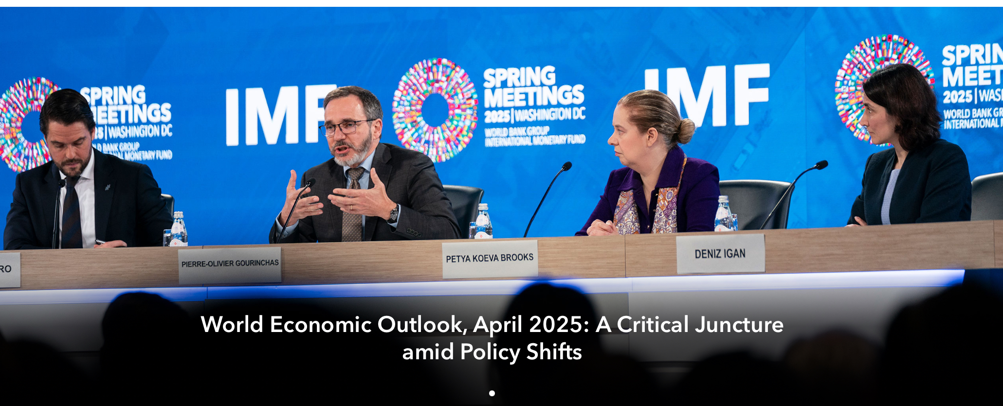 IMF Cuts Nigeria’s GDP Growth Projection To 3.0% In 2025 - Business ...